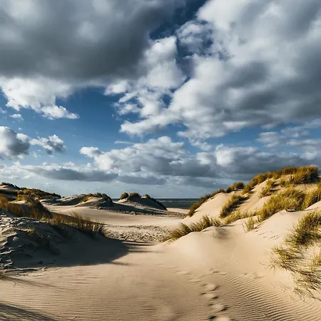 Apartmán Le Danvin - Spacieux 4 Pers - Grand Balcon - A 150 M De La *